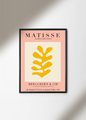 Постер Matisse Papiers Decoupes Rose 30х40 в раме черного цвета