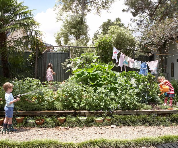 Фотография:  в стиле , Сад, Дом и дача, растения – фото на INMYROOM