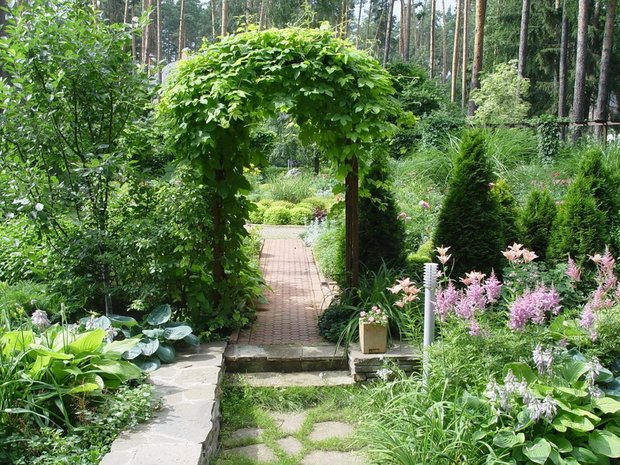 Фотография:  в стиле , Ландшафт, Советы, как преобразить дачный участок, как украсить сад, как обустроить 6 соток, сад своими руками – фото на INMYROOM