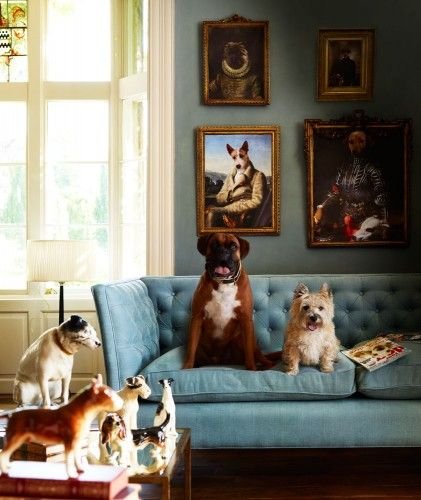 Фотография:  в стиле , Советы, животные дома, как обустроить интерьер, если в доме есть животные – фото на INMYROOM