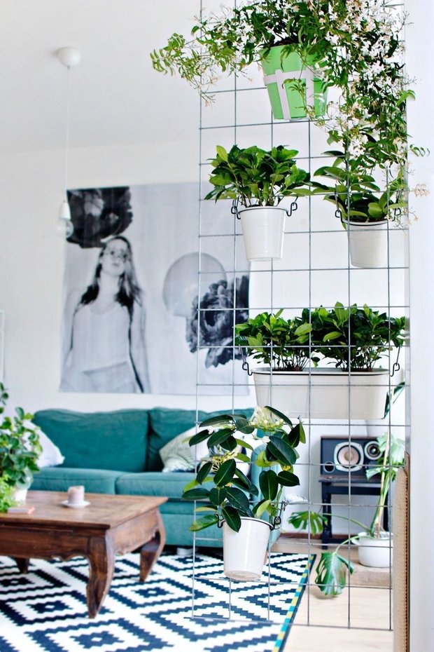 Фотография: Гостиная в стиле Скандинавский, Декор интерьера, растения в интерьере, растения – фото на INMYROOM