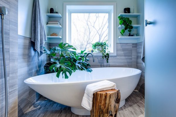 Фотография:  в стиле , Ванная, Флористика, Советы, комнатные растения для ванной комнаты – фото на INMYROOM