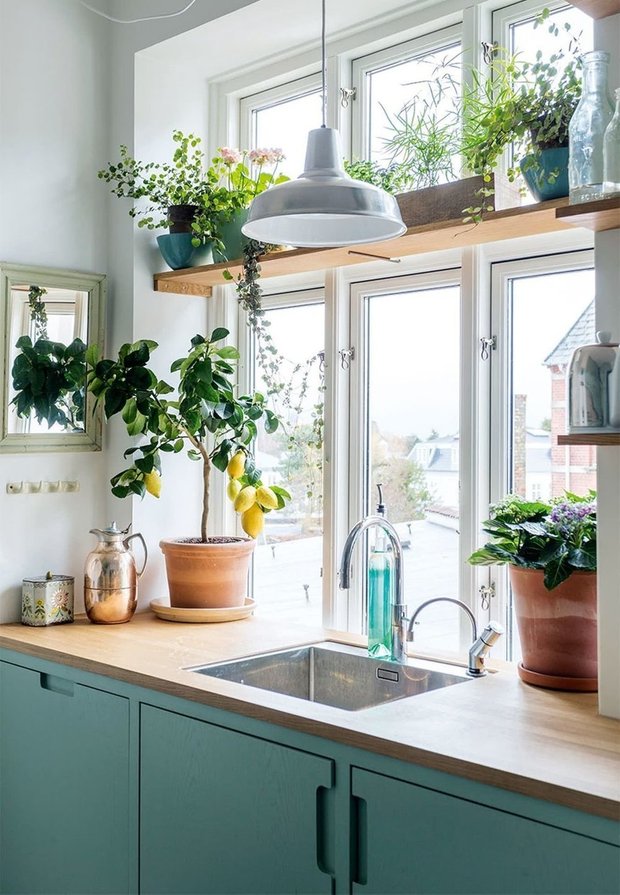 Фотография: Кухня и столовая в стиле Скандинавский, Декор интерьера, растения в интерьере, растения – фото на INMYROOM