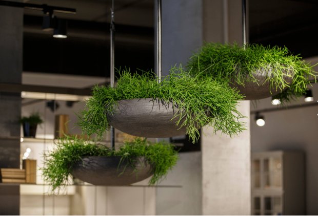 Фотография:  в стиле , Декор интерьера, Кашпо, живые растения в интерьере, Как выбрать кашпо, Светлана Давыдова – фото на INMYROOM