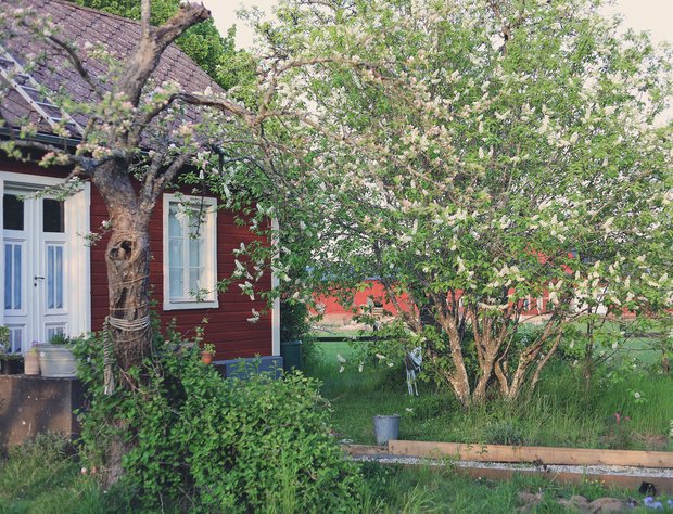 Фотография:  в стиле , Декор интерьера, Дом, Швеция, Дача, Розовый, как оформить летний дом – фото на INMYROOM