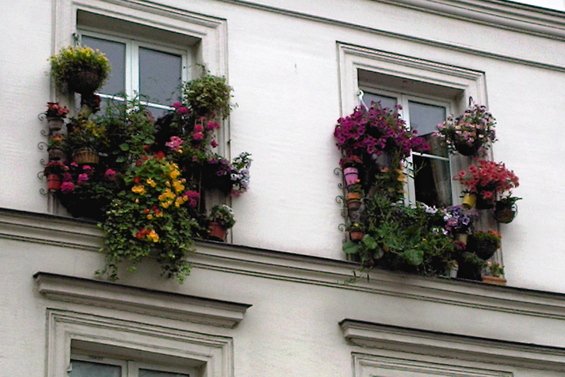 Фотография: Флористика в стиле , Балкон, Стиль жизни – фото на INMYROOM