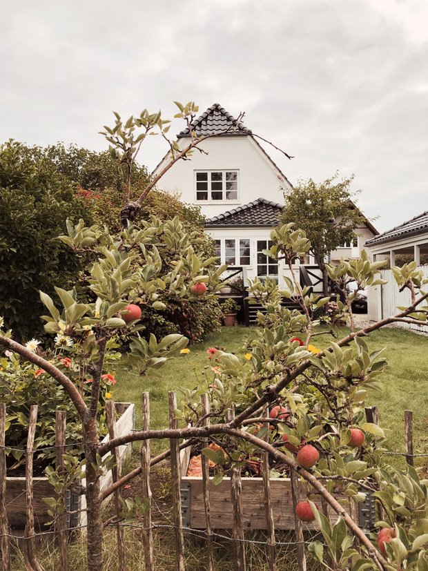 В гостях у датского блогера: уютный дом с зимним садом