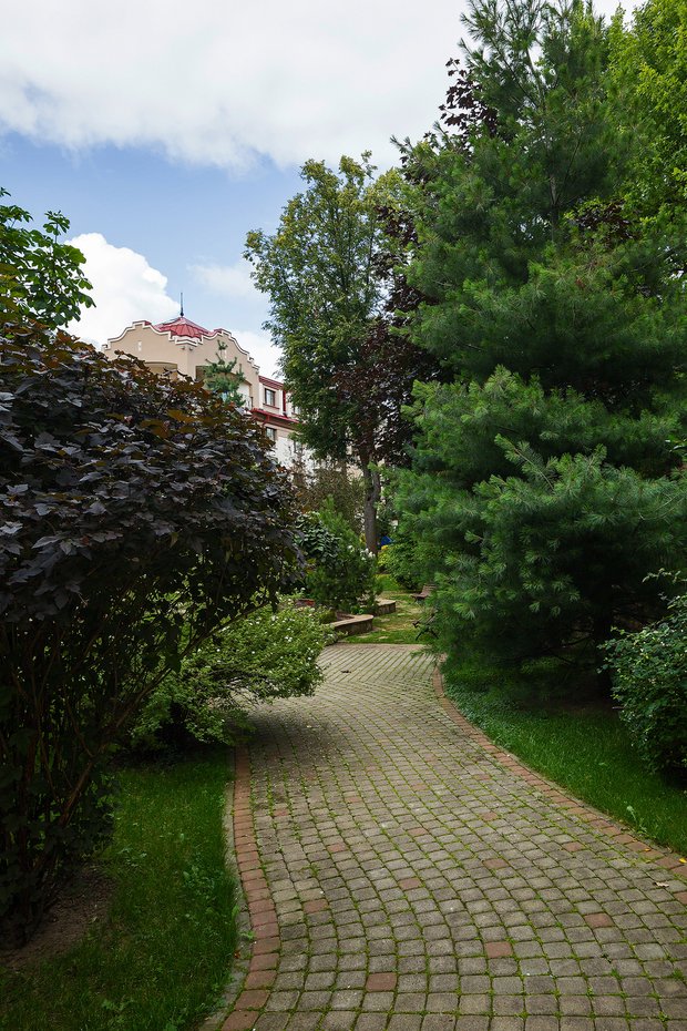 Фотография: Ландшафт в стиле , Советы, садовая дорожка, как обустроить дачный участок, Derevo Park, Дорожки в саду – фото на INMYROOM