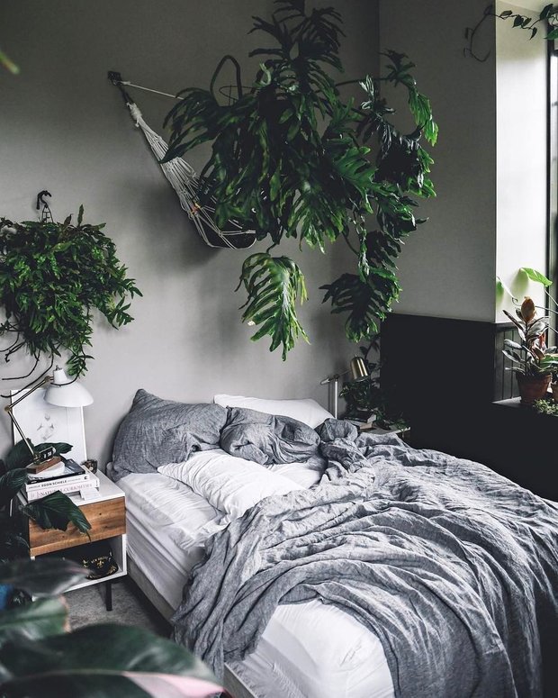 Фотография: Спальня в стиле Скандинавский, Декор интерьера, растения в интерьере, растения – фото на INMYROOM