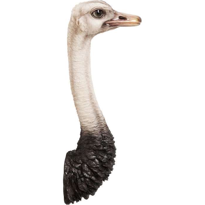 Украшение настенное Ostrich черно-белого цвета
