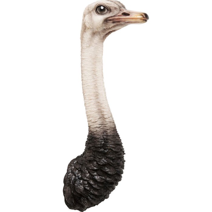 Украшение настенное Ostrich черно-белого цвета