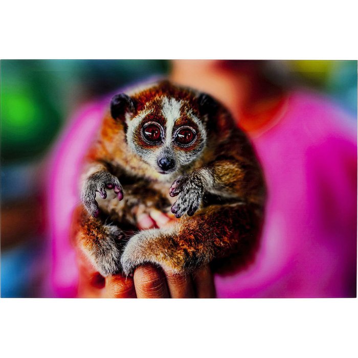 Картина Lemur, коллекция Лемур