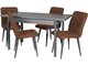 Обеденная группа из стола и четырех стульев коричнево-серого цвета