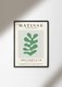 Постер Matisse Papiers Decoupes Green 30х40 в раме черного цвета