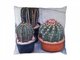 Декоративная подушка Cactus 45х45 серо-зеленого цвета 