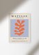 Постер Matisse Papiers Decoupes Coral 50х70 в раме белого цвета 