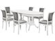 Обеденная группа из стола и шести стульев серо-белого цвета