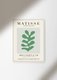Постер Matisse Papiers Decoupes Green 50х70 в раме белого цвета 