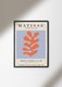Постер Matisse Papiers Decoupes Coral 70х100 в раме черного цвета