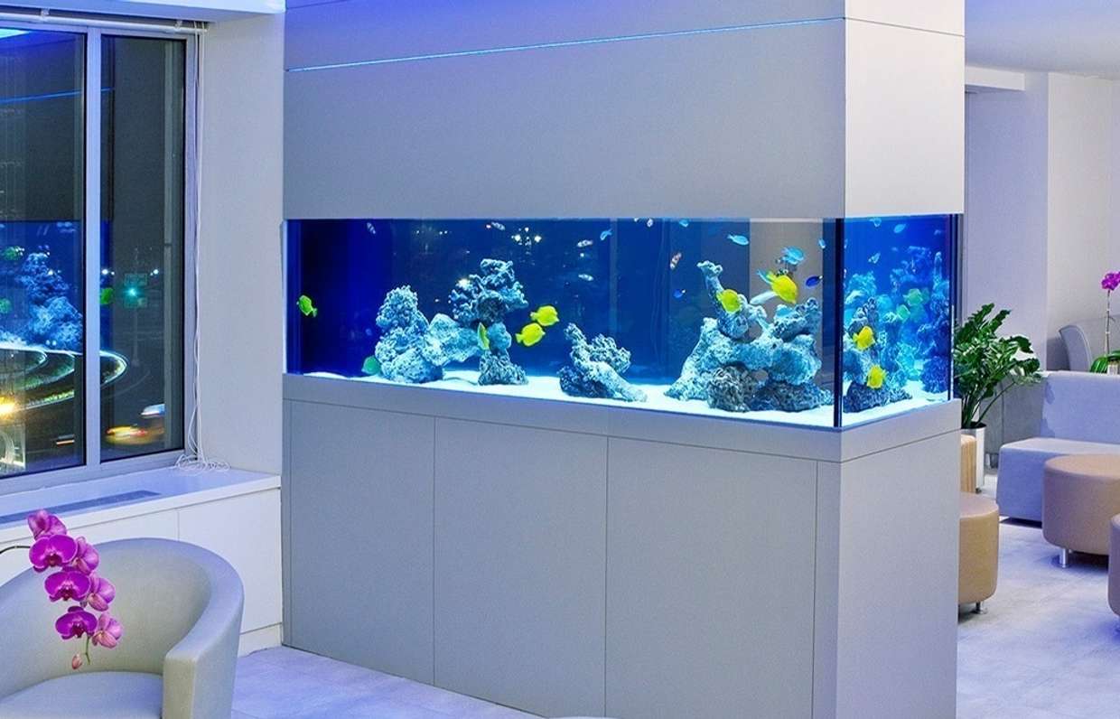 Кухня гостиная дизайн с аквариумом
