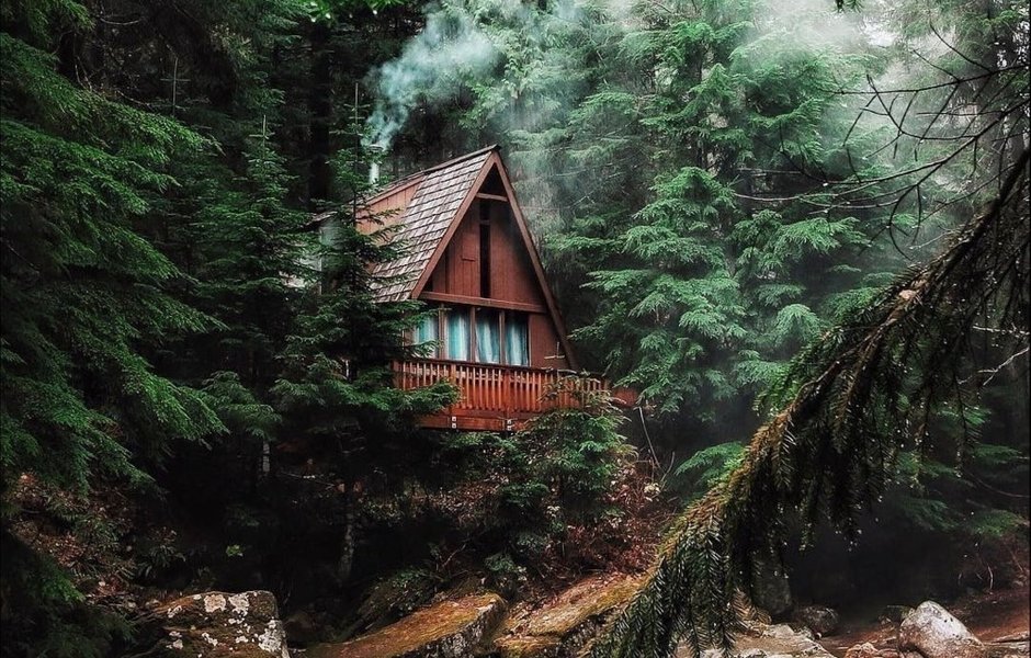 Фото домика в лесу у реки